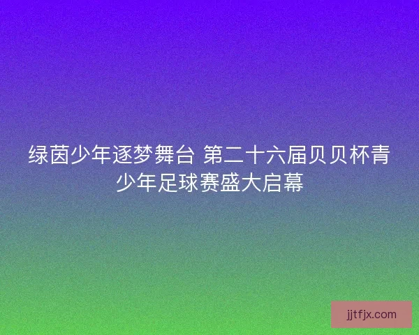 绿茵少年逐梦舞台 第二十六届贝贝杯青少年足球赛盛大启幕